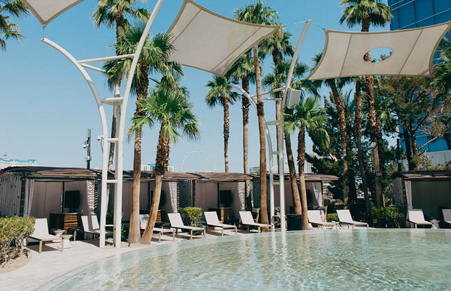 Resort pool chairs and canopies